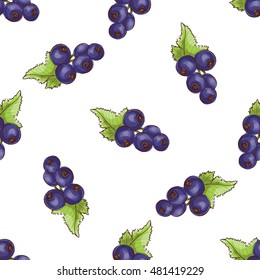Currants pattern on white background