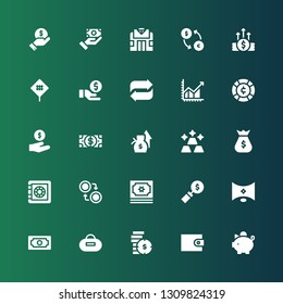 currency icon set. Collection of 25 filled currency icons included Piggy bank, Wallet, Coins, Purse, Cash, , Money, Currency, Safe box, Money bag, Gold, Salary, Dollar, Coin, Profit