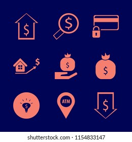 currency vector icons set. with dollar, real estate prices growth, credit card lock and looking money in set