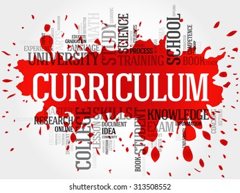 CURRICULUM word cloud, education business concept