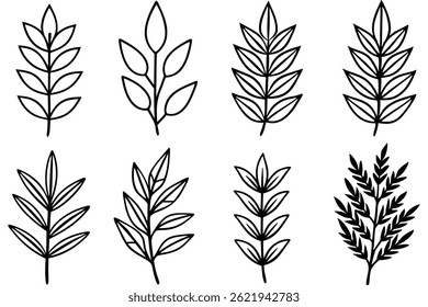 Curry leaf line art illustration for botanical design 