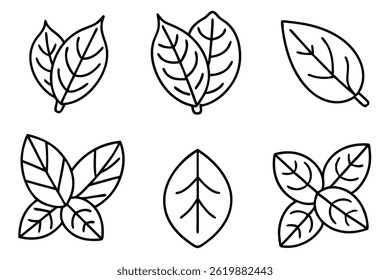 Curry Leaf Line Art Simple Design for Elegant Botanical Artwork