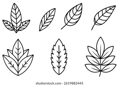 Curry Leaf Line Art Simple Design for Elegant Botanical Artwork