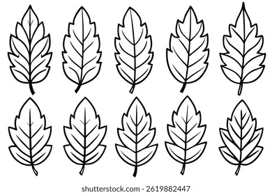 Curry Leaf Line Art Simple Design for Elegant Botanical Artwork