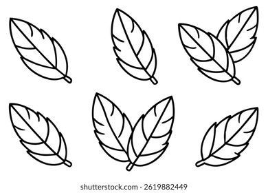 Curry Leaf Line Art Simple Design for Elegant Botanical Artwork
