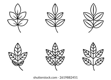 Curry Leaf Line Art Simple Design for Elegant Botanical Artwork