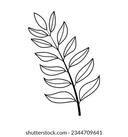 Curry on a white background in hand drawn style. Vector stock illustration. isolated. Plant in a box. Spices.