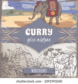 Curry spice mixture template with curry tree, turmeric, coriander, chili pepper and Indian elephant color sketch. Curry collection. Great for cooking, gardening design.