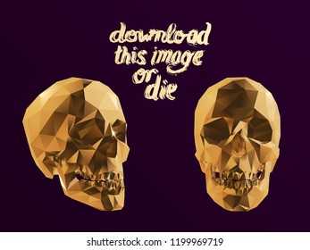 Cursed Gold Vector Low Poly Skull Polygonal 3D Rendering