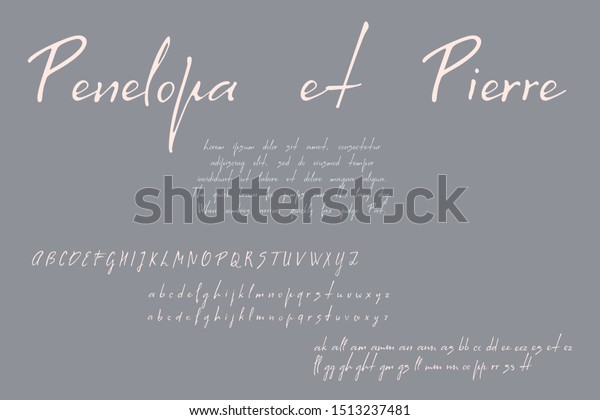 筆記体の手書きフォント 基本的な英大文字と小文字のアルファベット 代替文字 および合字のセット のベクター画像素材 ロイヤリティフリー