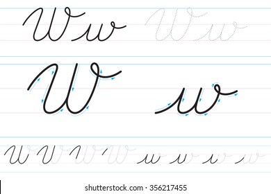 Cursive letters for learning to write. Ww