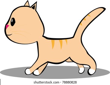cursorial kitten