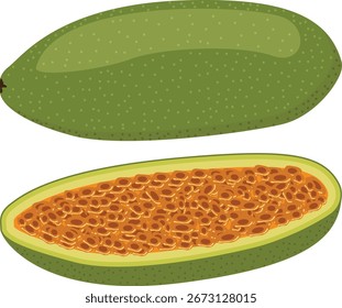 curuba, desenho do vetor do maracujá da banana.