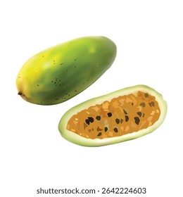 curuba fruit Slice illustration on white backgorund vol 01