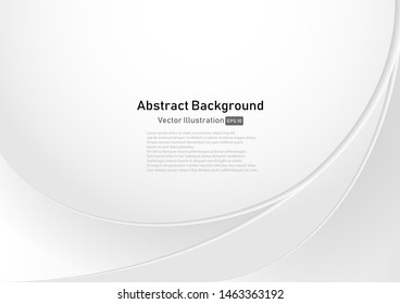 Curve Abstract Background white and gray gradient color background.Vector Illustration.