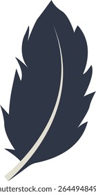Curve Bird Feather Silhouette. Isolated on White Background. Vector Illustration