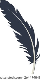 Curve Bird Feather Silhouette. Isolated on White Background. Vector Illustration