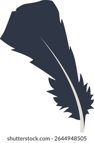 Curve Bird Feather Silhouette. Isolated on White Background. Vector Illustration