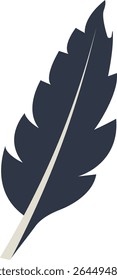 Curve Bird Feather Silhouette. Isolated on White Background. Vector Illustration
