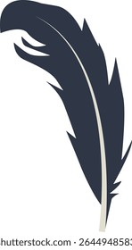 Curve Bird Feather Silhouette. Isolated on White Background. Vector Illustration