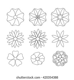 Curve flower set