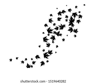Curve line from flying maple leaves. Vector decoration from scattered elements. Monochrome isolated silhouette. Conceptual illustration.