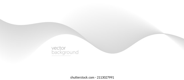 Curve shape flow vector abstract background in light grey gradient, dynamic and speed concept, futuristic technology or motion art.