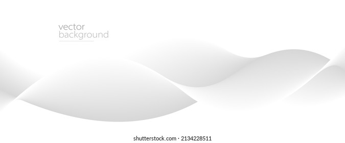 Curve shape flow vector abstract background in light grey gradient, dynamic and speed concept, futuristic technology or motion art.