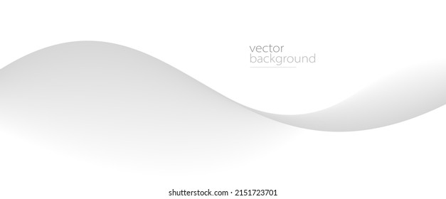 Curve shape flow vector abstract background in light grey gradient, dynamic and speed concept, futuristic technology or motion art.