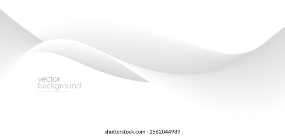 Curve shape flow vector abstract background in light grey gradient, dynamic and speed concept, futuristic technology or motion art.