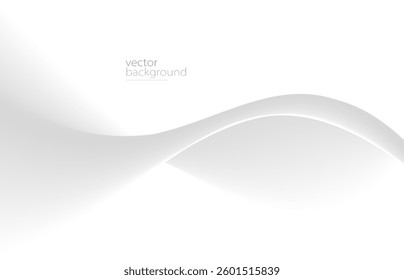 Curve shape flow vector abstract background in light grey gradient, dynamic and speed concept, futuristic technology or motion art.