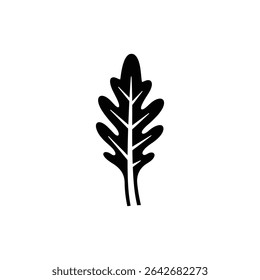 Curved arugula leaf isolated on white background with natural texture