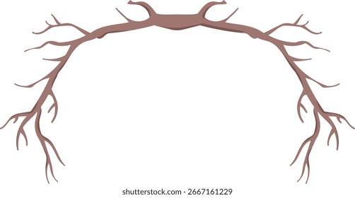 Las ramas curvas forman un marco simétrico en un estilo de Vector limpio. Las extremidades retorcidas crean un arco natural con líneas detalladas. Ilustración vectorial de dibujos animados.