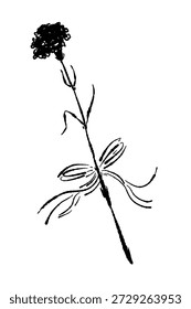 Gekrümmte Nelke Blume Stem Vektorgrafik