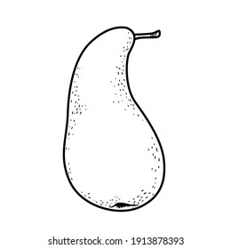 Curved conference pear varieties linear drawing on white background