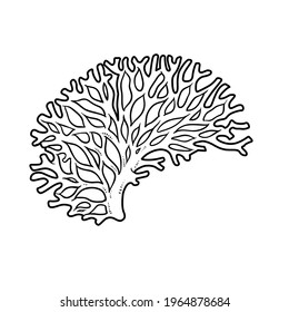 Curved coral object coloring book linear drawing isolated on white background