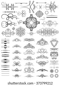 Curved decorative contours in vector. Curve vintage collection for Decoration text, logo, wedding album or restaurant menu. Set decor elements. Ornate swirl leaves and label. 