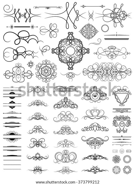 Curved Decorative Contours Vector Curve Vintage Stock Vector (Royalty ...