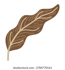 Curved dry brown caladium leaf detailed texture tropical plant element flat vector illustration
