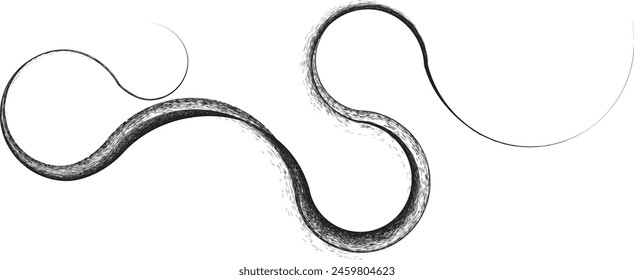 Curved Dry Brush Stroke . Chinese calligraphy . Japanese style . Snake logo. Asian design elements . Looped brush line . Vector