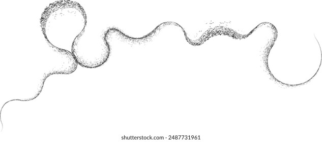 Curved Dry Brush Stroke . Chinese calligraphy . Japanese style . Snake logo. Asian design elements . Looped brush line . Vector