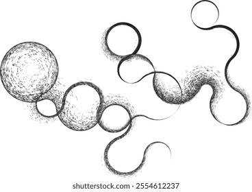 Curved Dry Brush Stroke . Chinese calligraphy . Japanese style . Snake logo. Asian design elements . Looped brush line . Vector