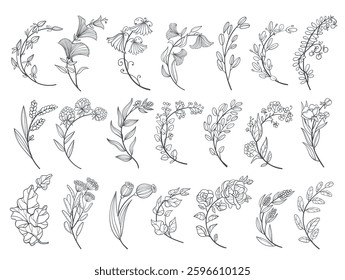 Curved floral branches. Decorative elements fore poster, banner and card, botanical design, blooming twigs with leaves and flowers, linear plants, hand drawn line isolated splendid vector set