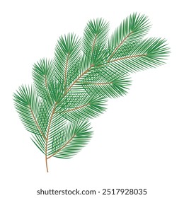 Rama de pino esponjoso curvado. Navidades perennes y elemento de vacaciones de Año Nuevo sin decoraciones