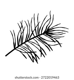 Rama de pino curvada dibujada a mano con varios vástagos delgados, elegante elemento botánico de hoja perenne perfecto para papelería y decoración de invierno. Ilustración vectorial