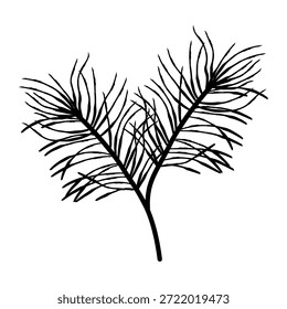 Gebogene handgezeichnete Kiefernzweig mit feinen Nadeln, elegante immergrüne botanische Illustration für Winterpapiere und Muster.Vektorgrafik