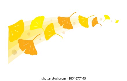 Curved illustration of ginkgo leaves