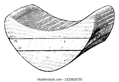 It is a curved metal attachment usually fixed with the other main parts of the frame and has grooves at the top surface. Bicycle Accessories 1900.