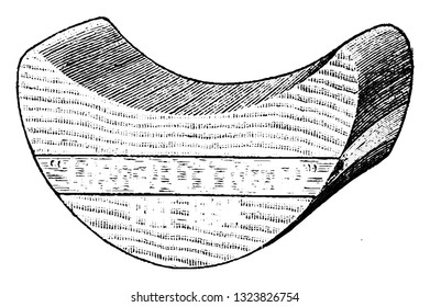 It is a curved metal attachment usually fixed with the other main parts of the frame and has no grooves at the top surface. It is relatively smaller part and heavy. Bicycle Accessories 1900.