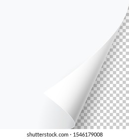 Curved page corner with shadow on a transparent background. Insert your images. Simple image insertion. Vector illustration.